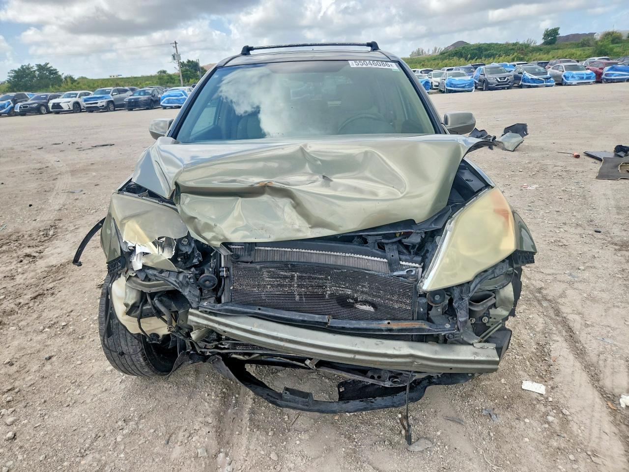 2009 Honda Cr-v Exl Green vin: 5J6RE48789L045730