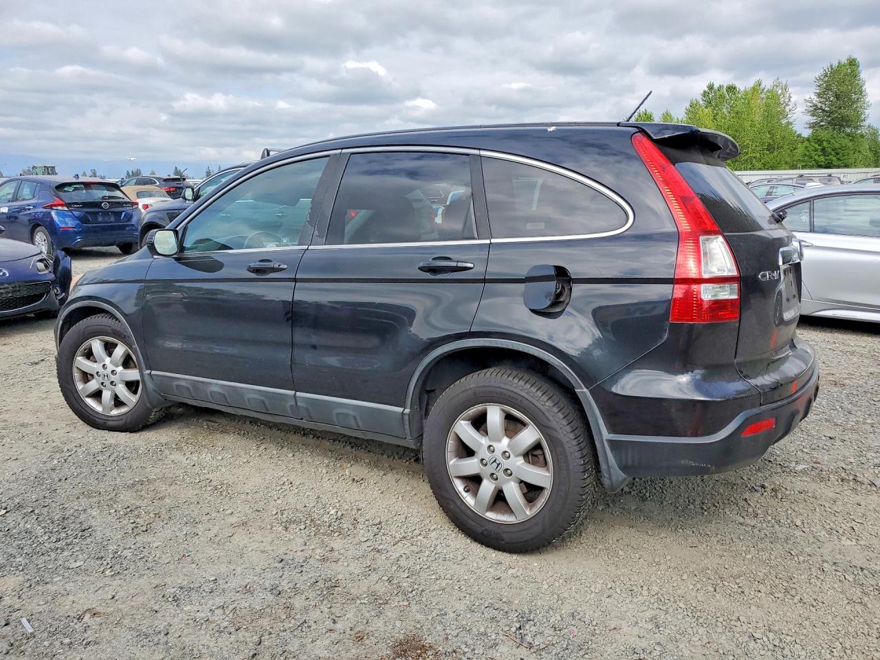 2009 Honda Cr-v Exl Black vin: 5J6RE487X9L068250