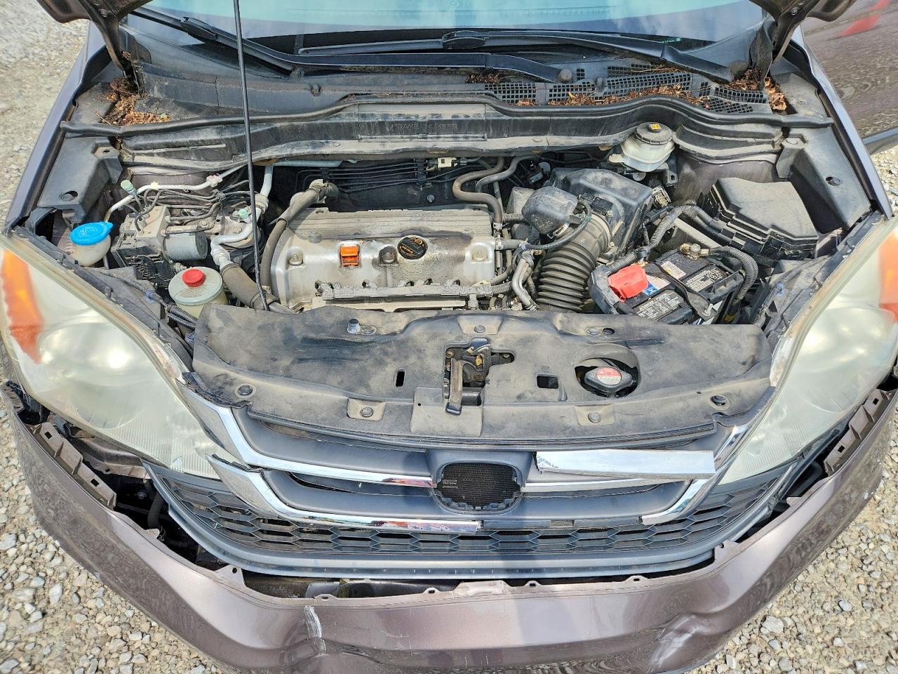 2010 Honda Cr-v Lx Tan vin: 5J6RE4H30AL073118