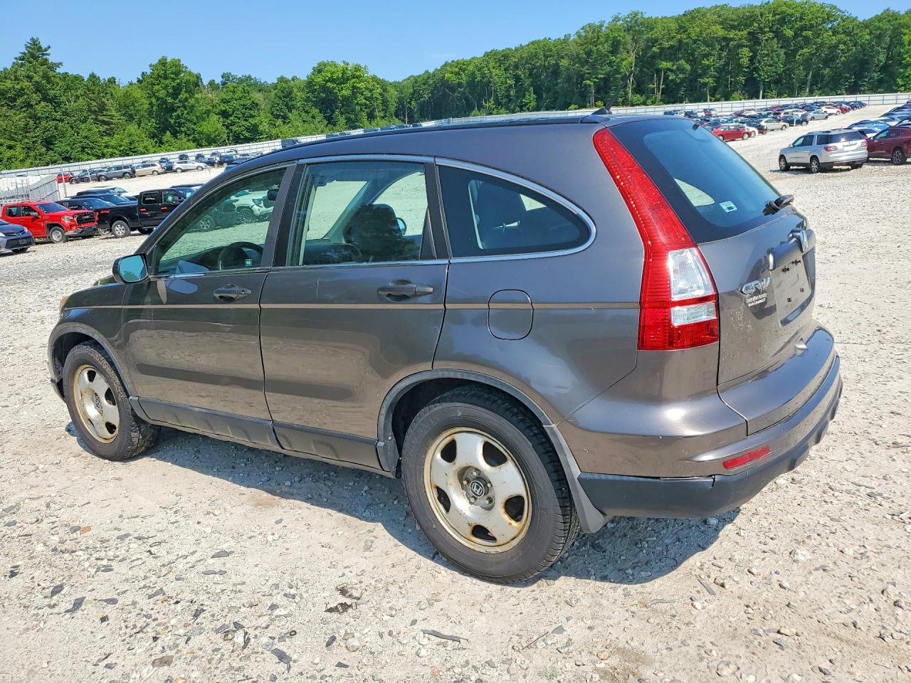 2010 Honda Cr-v Lx Gray vin: 5J6RE4H31AL033386