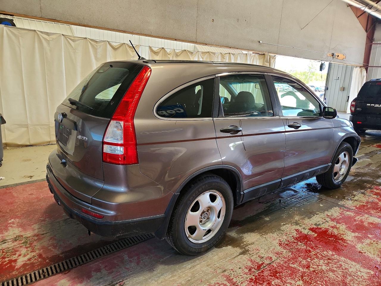 2010 Honda Cr-v Lx Brown vin: 5J6RE4H38AL081015