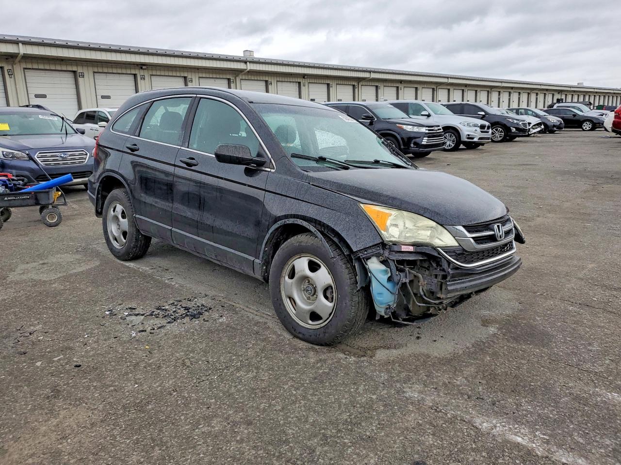 2010 Honda Cr-v Lx Черный vin: 5J6RE4H39AL085493