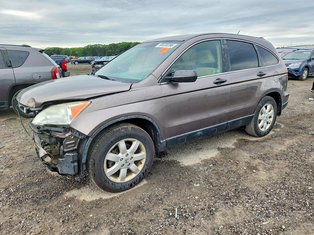 2011 Honda Cr-v Se Gray vin: 5J6RE4H42BL012721