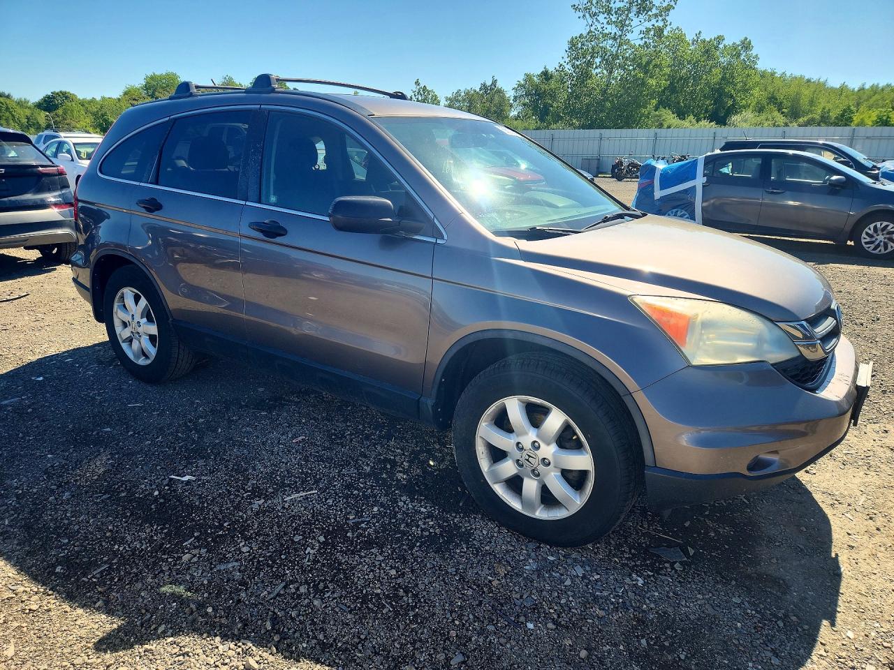 2011 Honda Cr-v Se Коричневый vin: 5J6RE4H44BL096900
