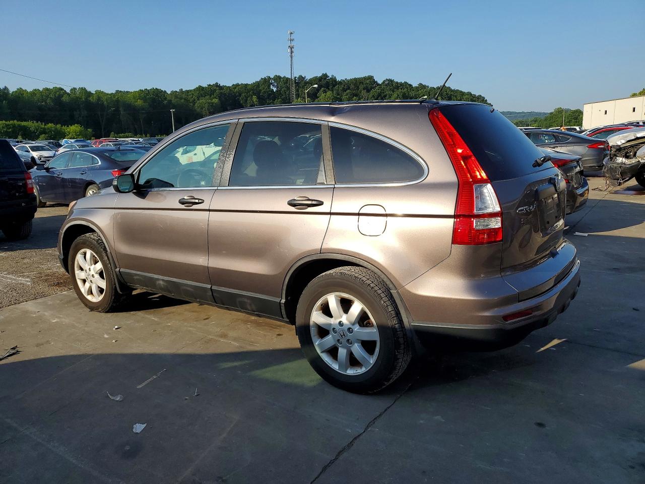 2011 Honda Cr-v Se Gray vin: 5J6RE4H45BL082570