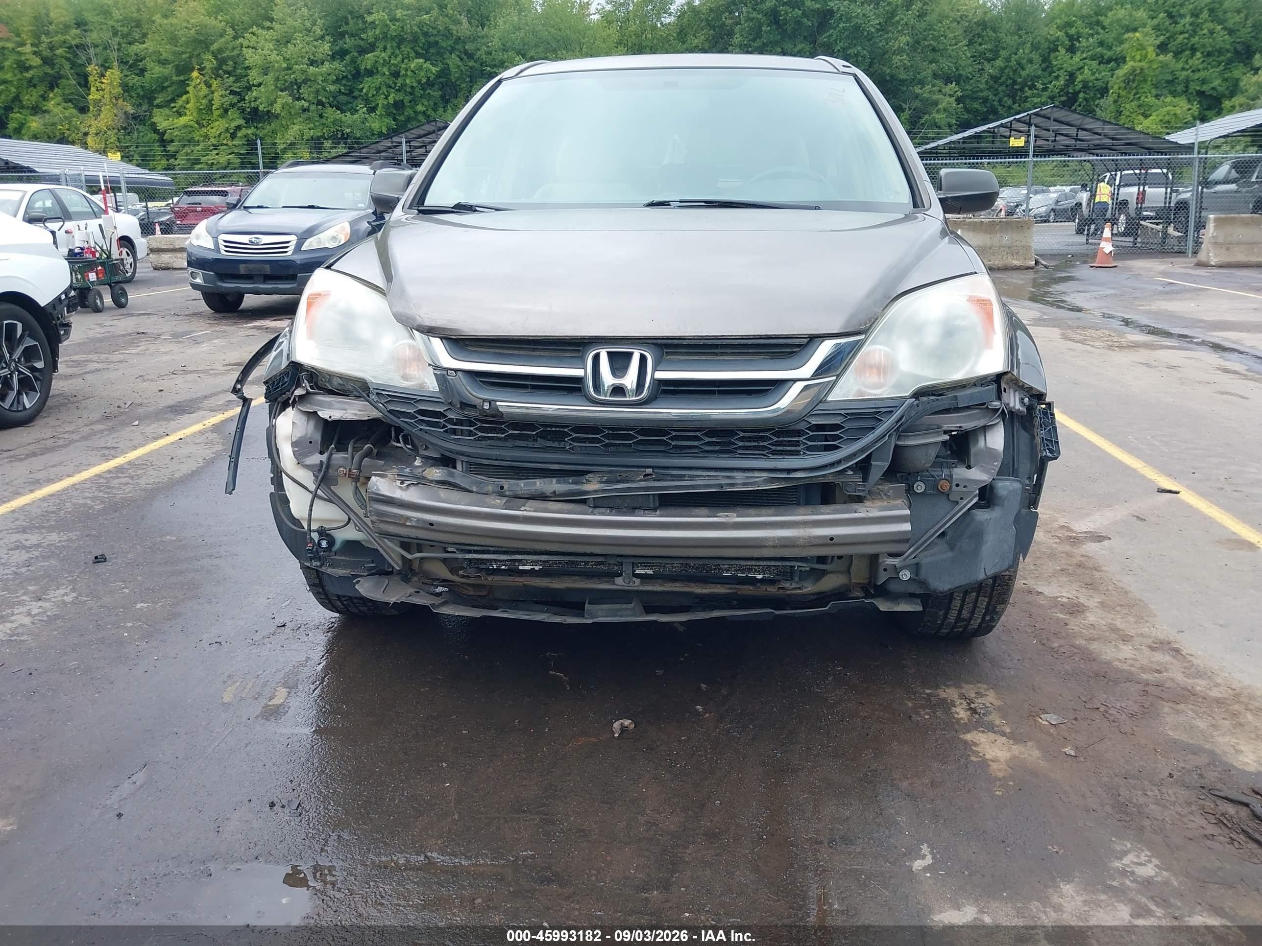 2011 Honda Cr-v Se Brown vin: 5J6RE4H46BL102597