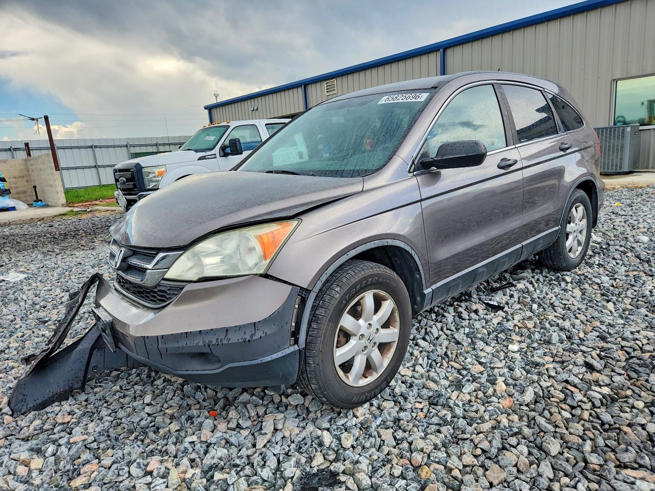2011 Honda Cr-v Se Tan vin: 5J6RE4H47BL057136