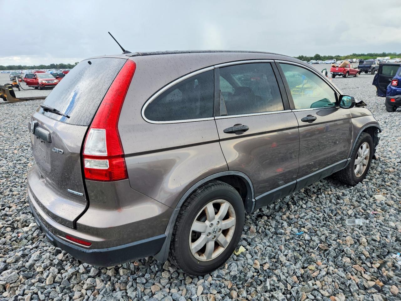2011 Honda Cr-v Se Tan vin: 5J6RE4H47BL057136