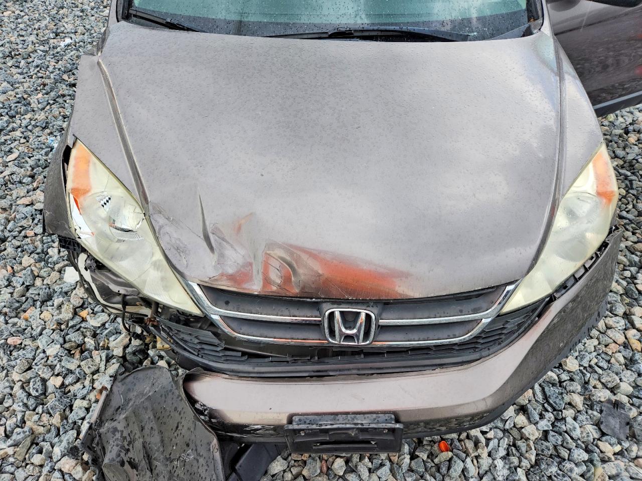 2011 Honda Cr-v Se Tan vin: 5J6RE4H47BL057136