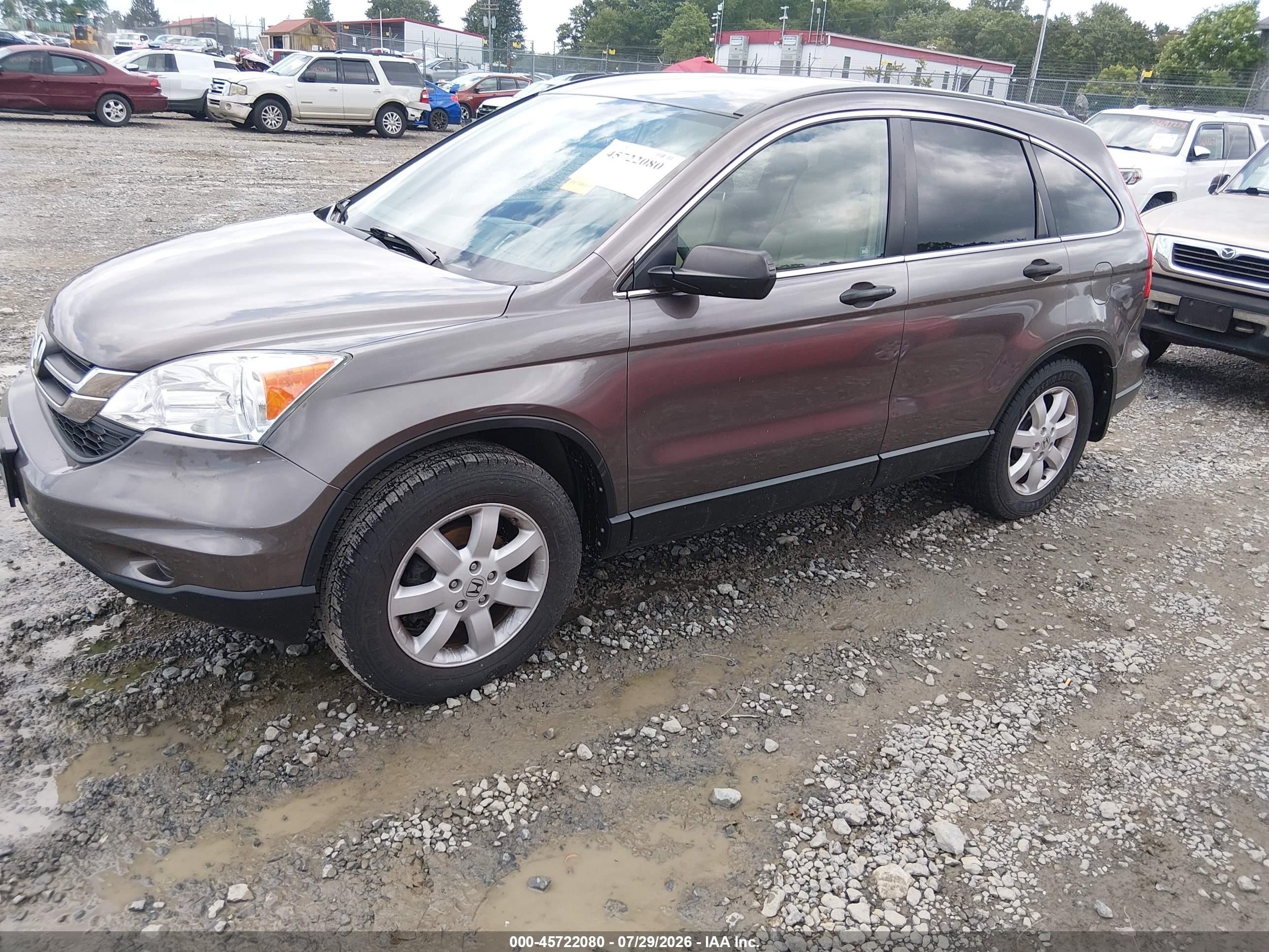 2011 Honda Cr-v Se Brown vin: 5J6RE4H47BL120073