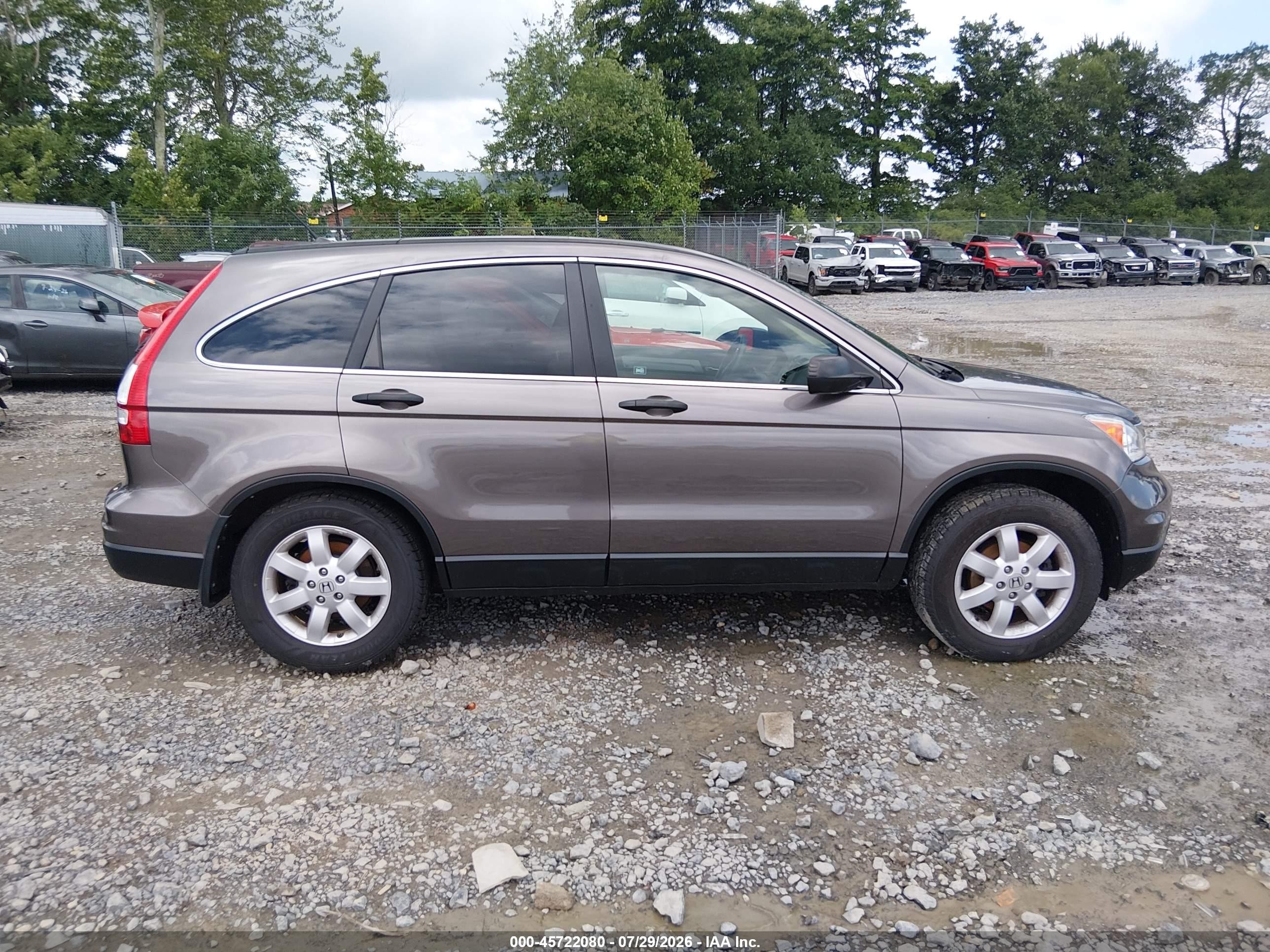 2011 Honda Cr-v Se Brown vin: 5J6RE4H47BL120073