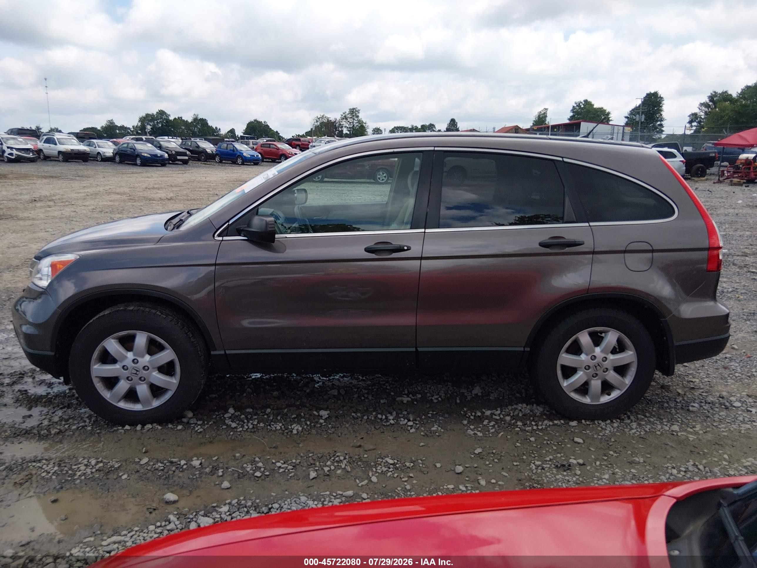 2011 Honda Cr-v Se Brown vin: 5J6RE4H47BL120073