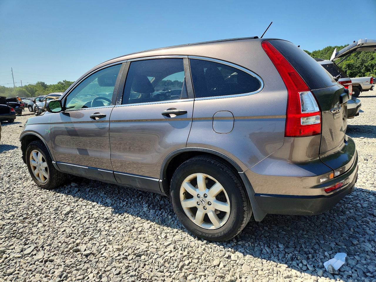2011 Honda Cr-v Se Beige vin: 5J6RE4H47BL124186