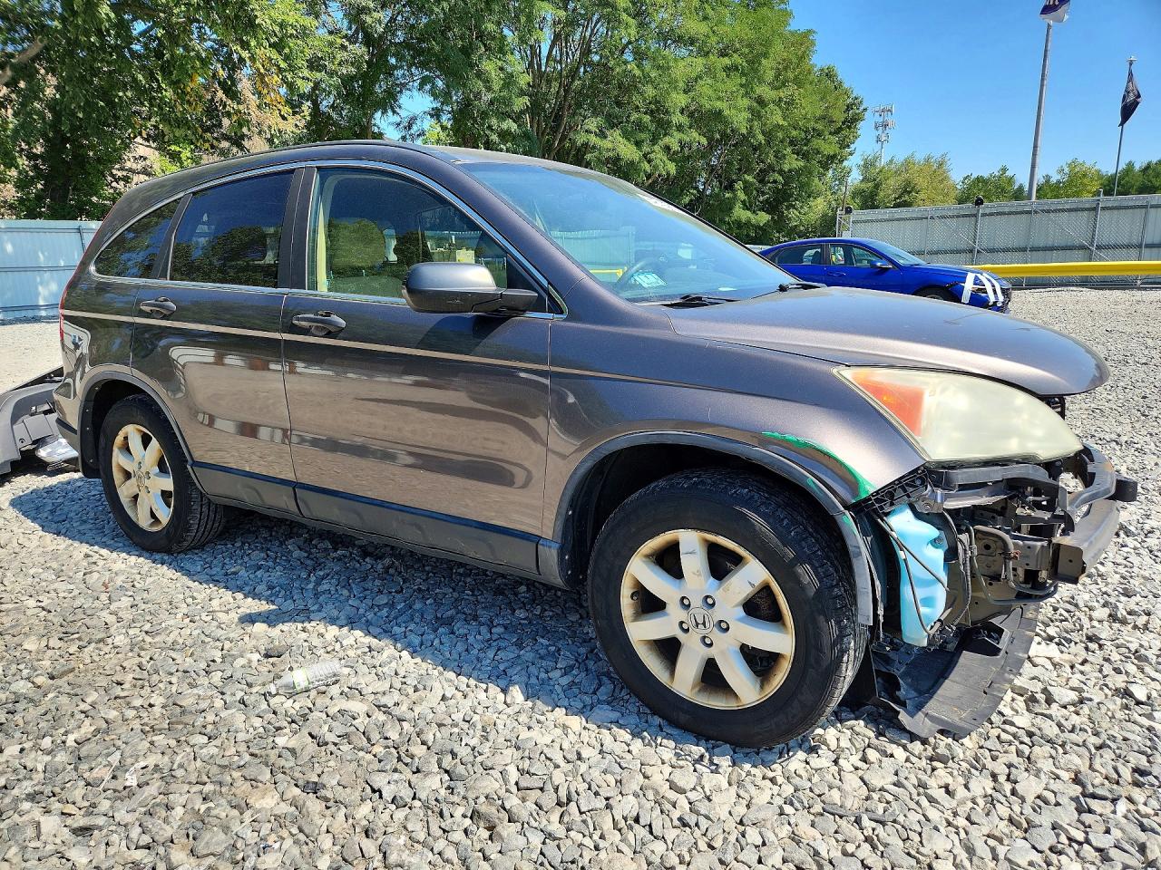 2011 Honda Cr-v Se Beige vin: 5J6RE4H47BL124186