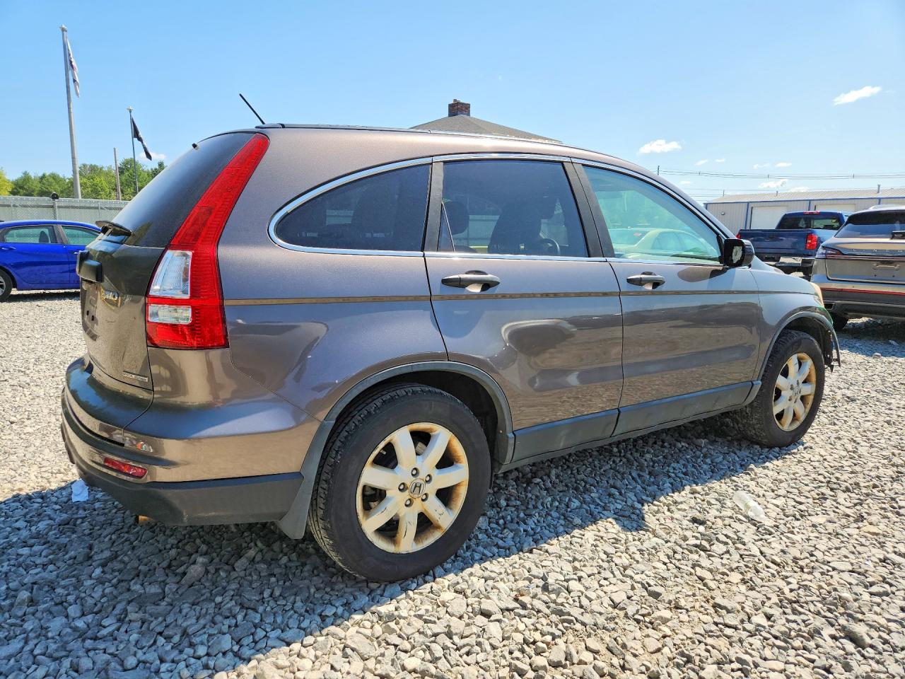 2011 Honda Cr-v Se Beige vin: 5J6RE4H47BL124186