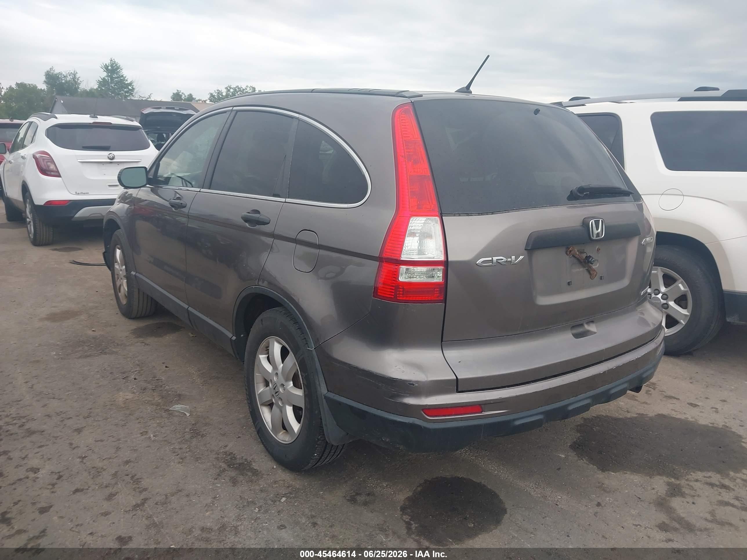 2011 Honda Cr-v Se Brown vin: 5J6RE4H49BL076271