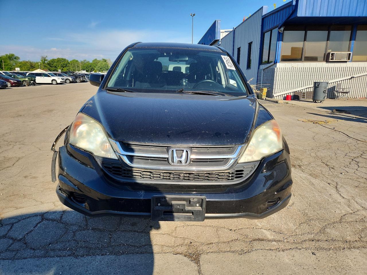 2011 Honda Cr-v Se Black vin: 5J6RE4H4XBL000591