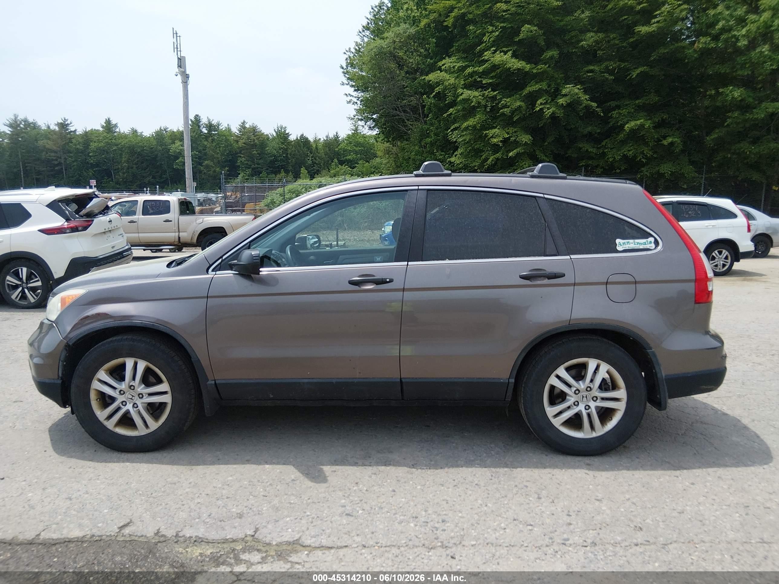 2010 Honda Cr-v Ex Gray vin: 5J6RE4H52AL065894