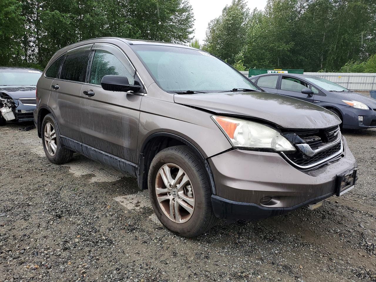 2010 Honda Cr-v Ex Gray vin: 5J6RE4H55AL000392