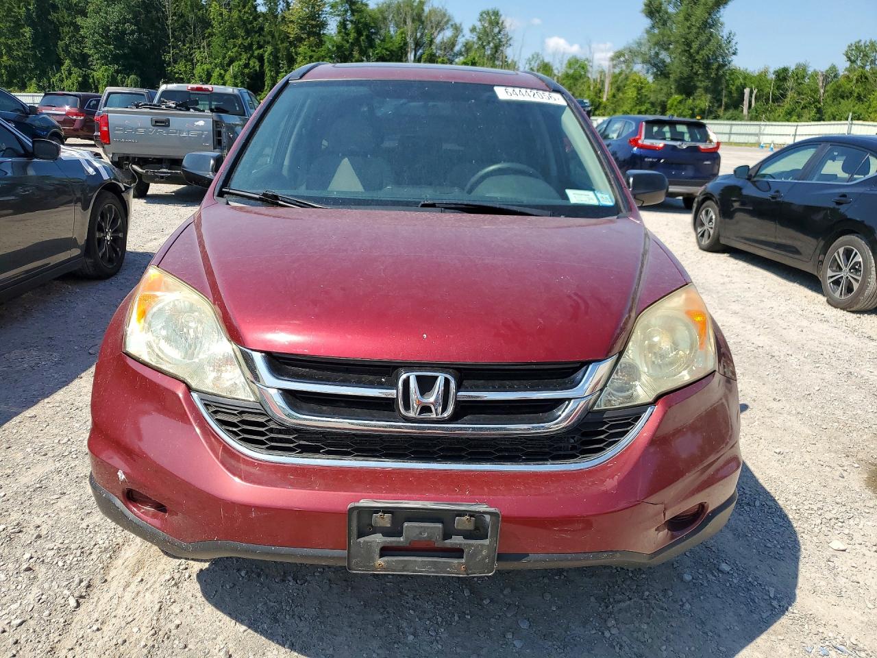 2010 Honda Cr-v Ex Red vin: 5J6RE4H56AL094685