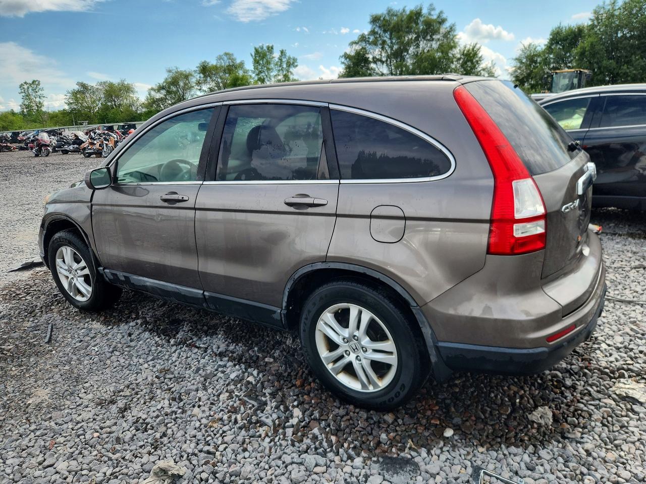 2010 Honda Cr-v Exl Gray vin: 5J6RE4H71AL018339