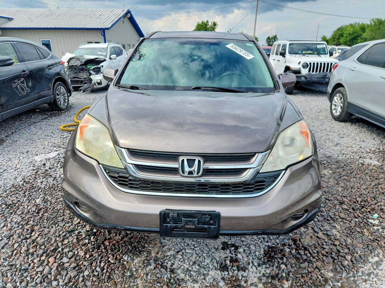 2010 Honda Cr-v Exl Gray vin: 5J6RE4H71AL018339
