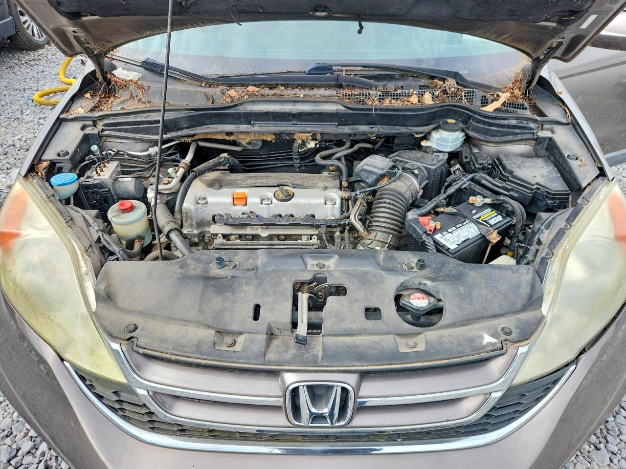 2010 Honda Cr-v Exl Gray vin: 5J6RE4H71AL018339
