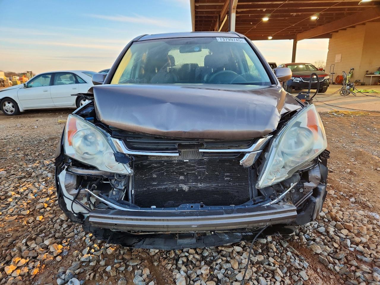 2010 Honda Cr-v Exl Brown vin: 5J6RE4H71AL062731