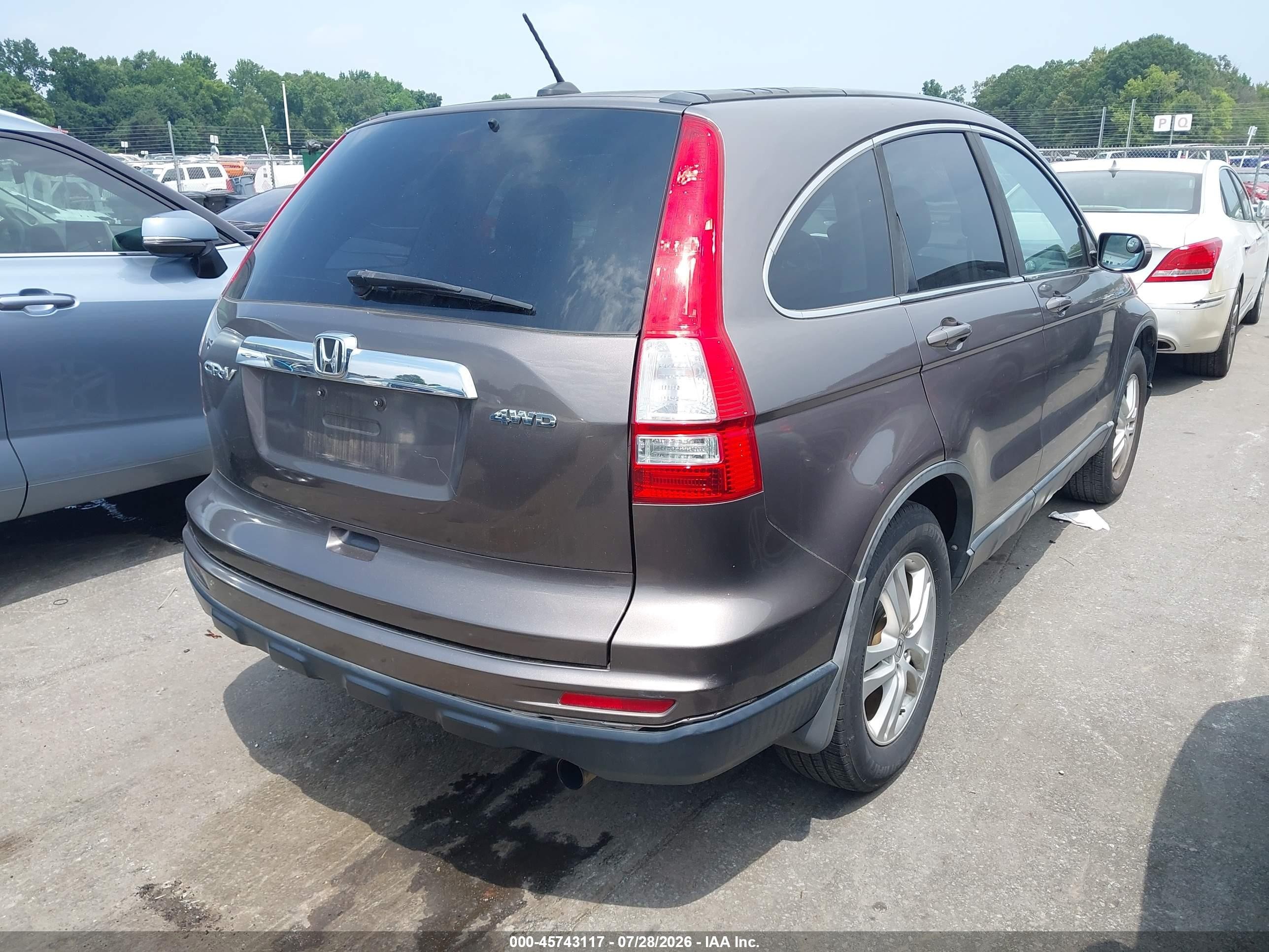 2010 Honda Cr-v Ex-l Gray vin: 5J6RE4H71AL077598