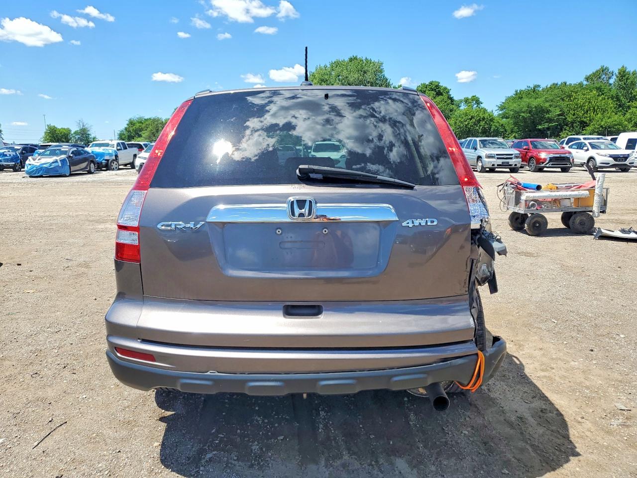 2010 Honda Cr-v Exl Charcoal vin: 5J6RE4H71AL093056
