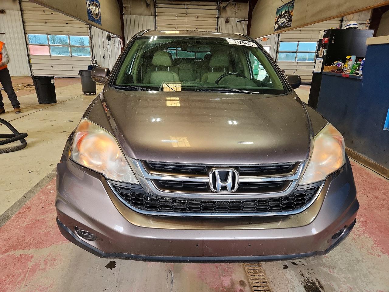 2011 Honda Cr-v Exl Brown vin: 5J6RE4H71BL070930