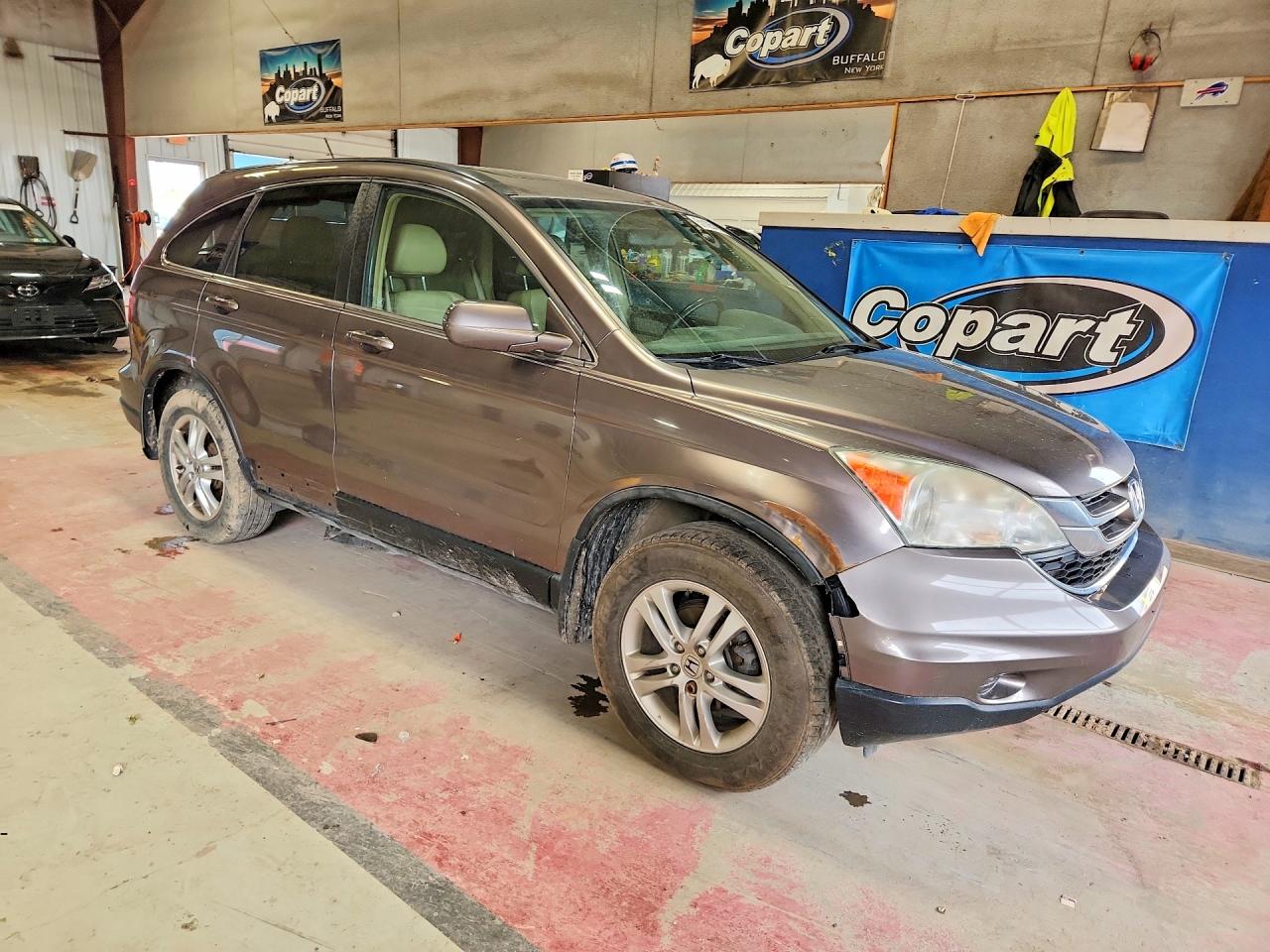 2011 Honda Cr-v Exl Brown vin: 5J6RE4H71BL070930