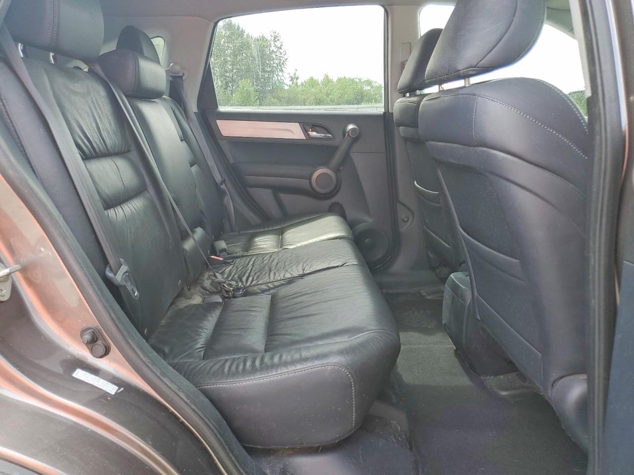 2010 Honda Cr-v Exl Gray vin: 5J6RE4H72AL084219