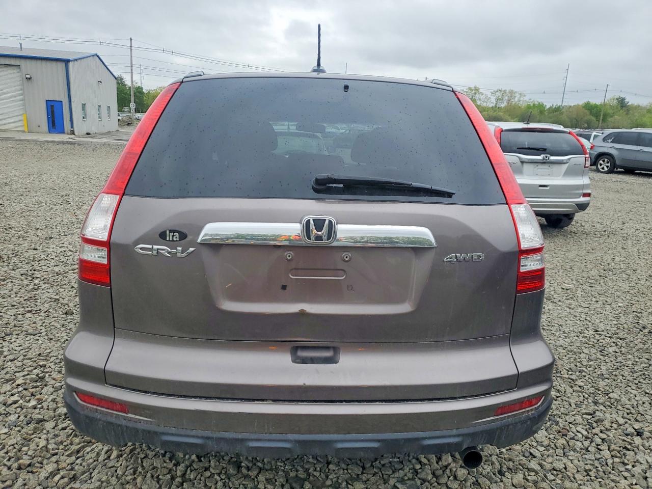 2011 Honda Cr-v Exl Brown vin: 5J6RE4H72BL063341