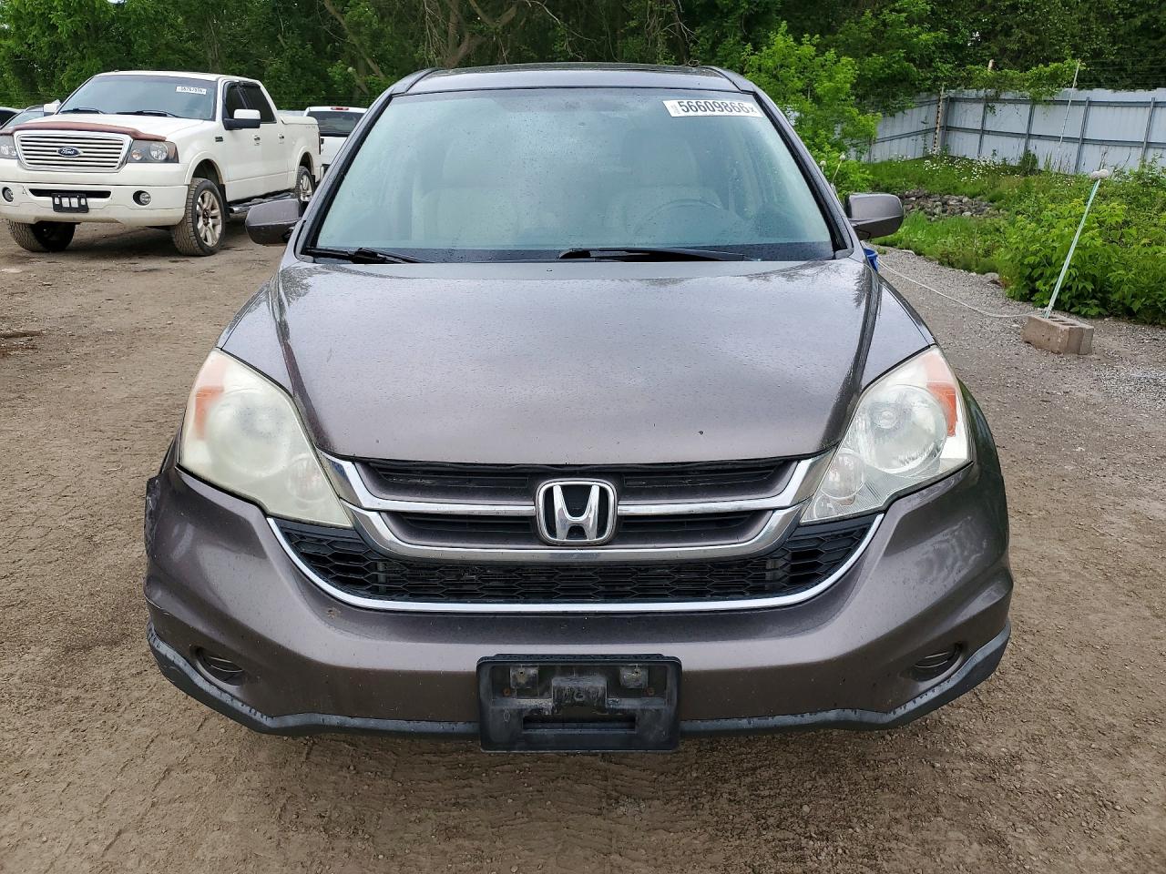 2011 Honda Cr-v Exl Brown vin: 5J6RE4H72BL807388