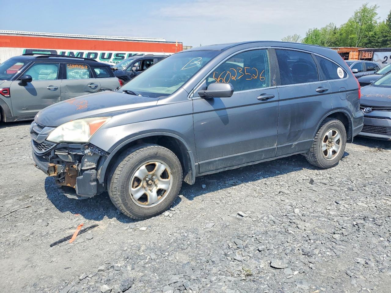 2011 Honda Cr-v Exl Gray vin: 5J6RE4H73BL807755