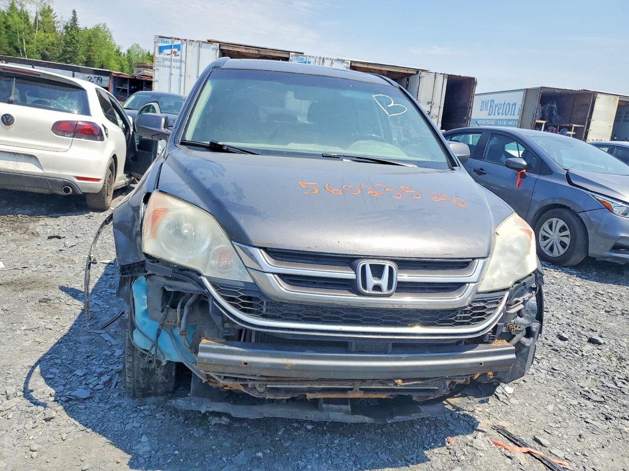 2011 Honda Cr-v Exl Gray vin: 5J6RE4H73BL807755
