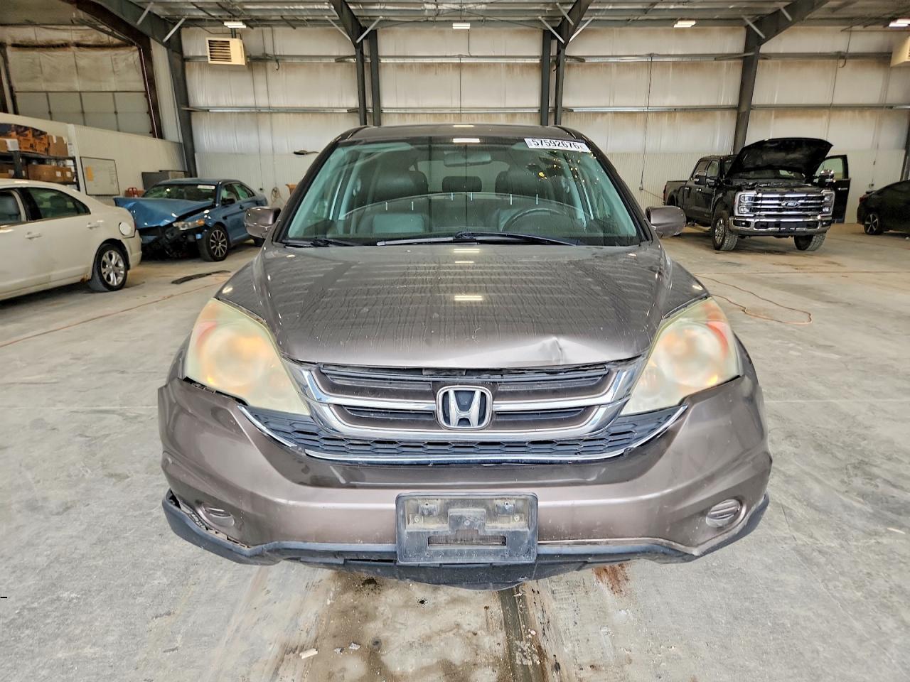 2010 Honda Cr-v Exl Gray vin: 5J6RE4H74AL020151