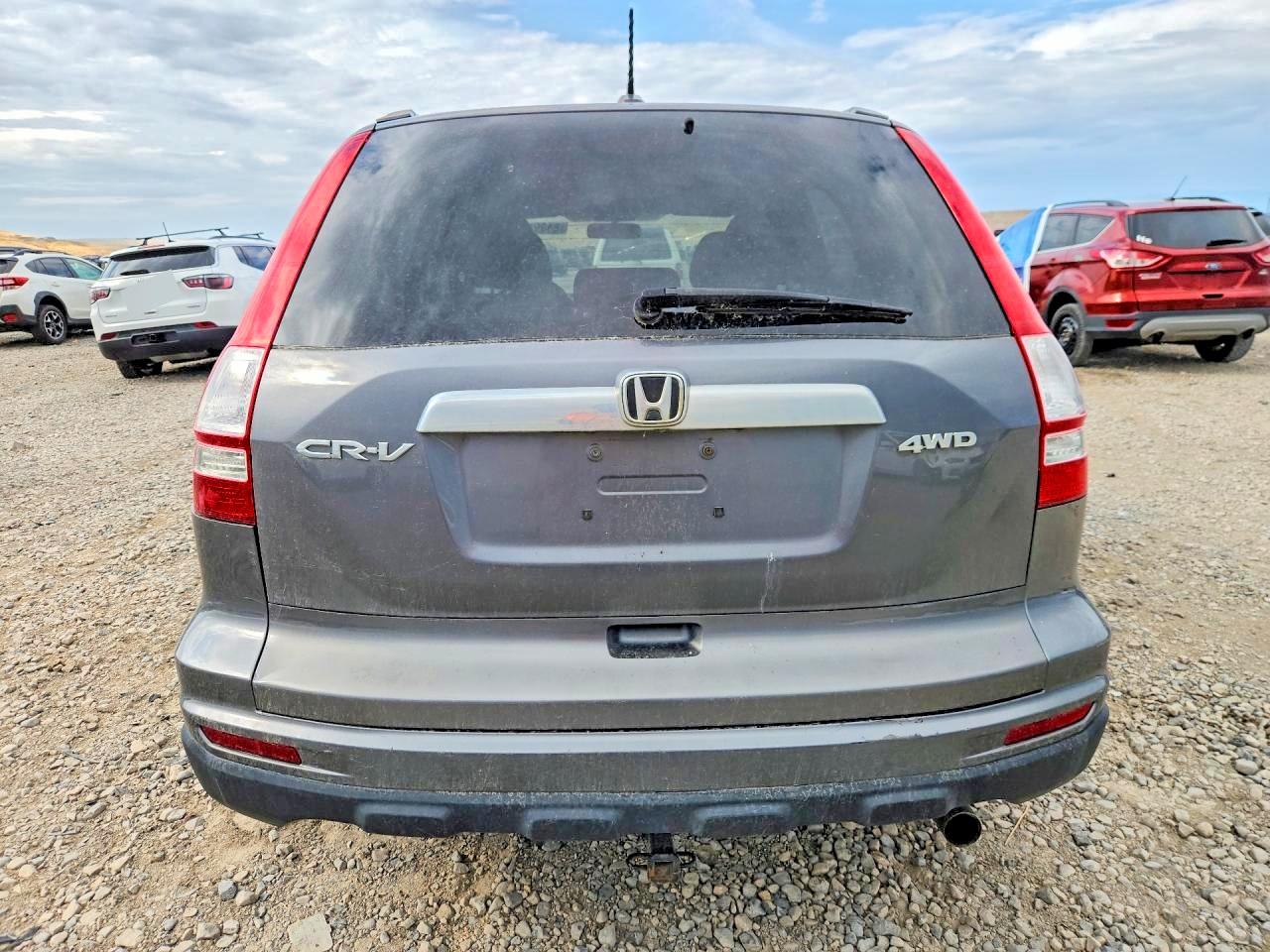 2010 Honda Cr-v Exl Gray vin: 5J6RE4H74AL026757