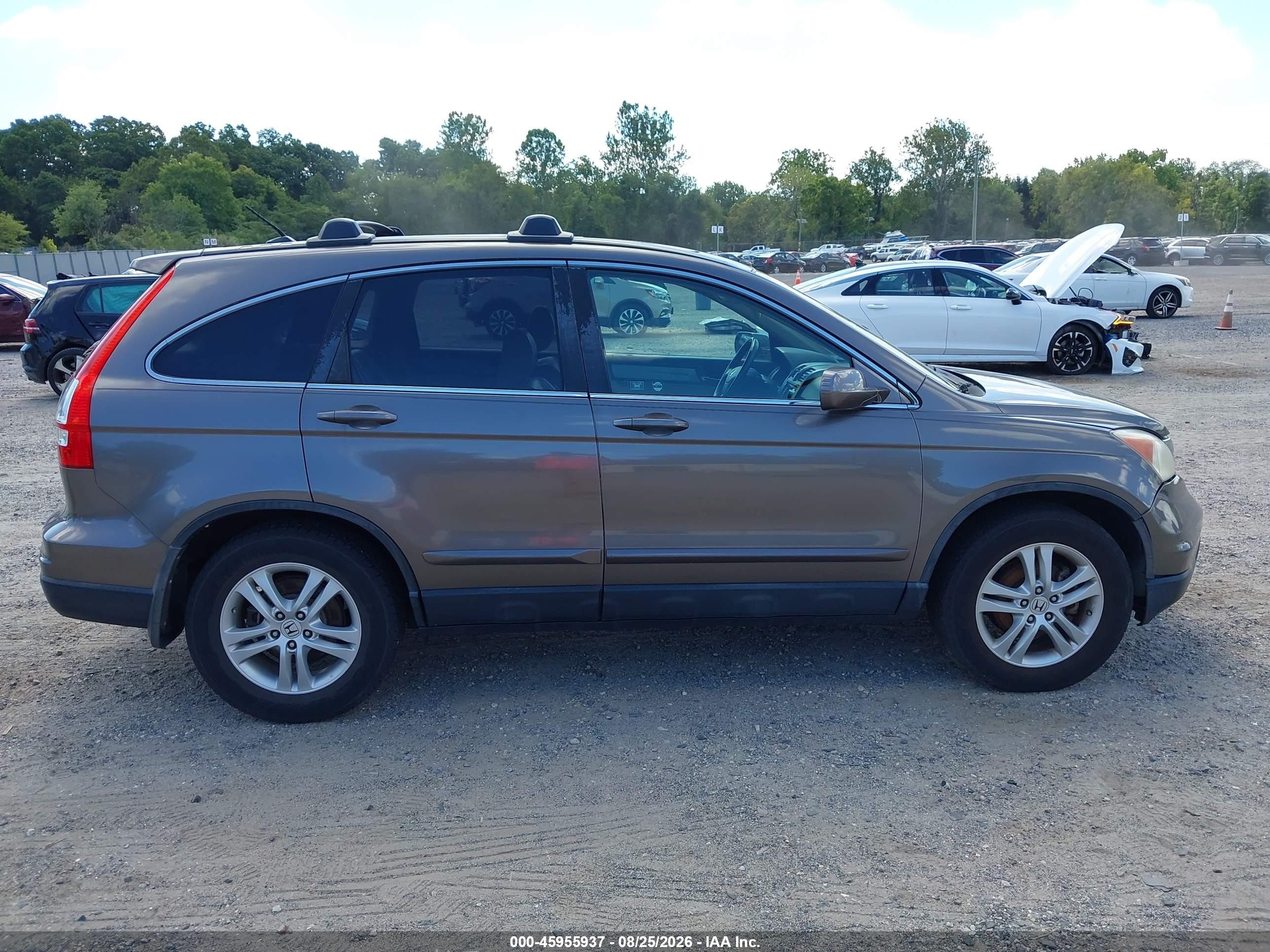 2010 Honda Cr-v Ex-l Brown vin: 5J6RE4H74AL028637