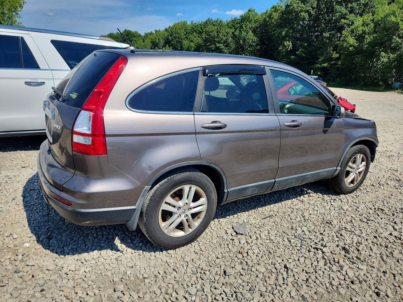 2010 Honda Cr-v Exl Brown vin: 5J6RE4H74AL055062