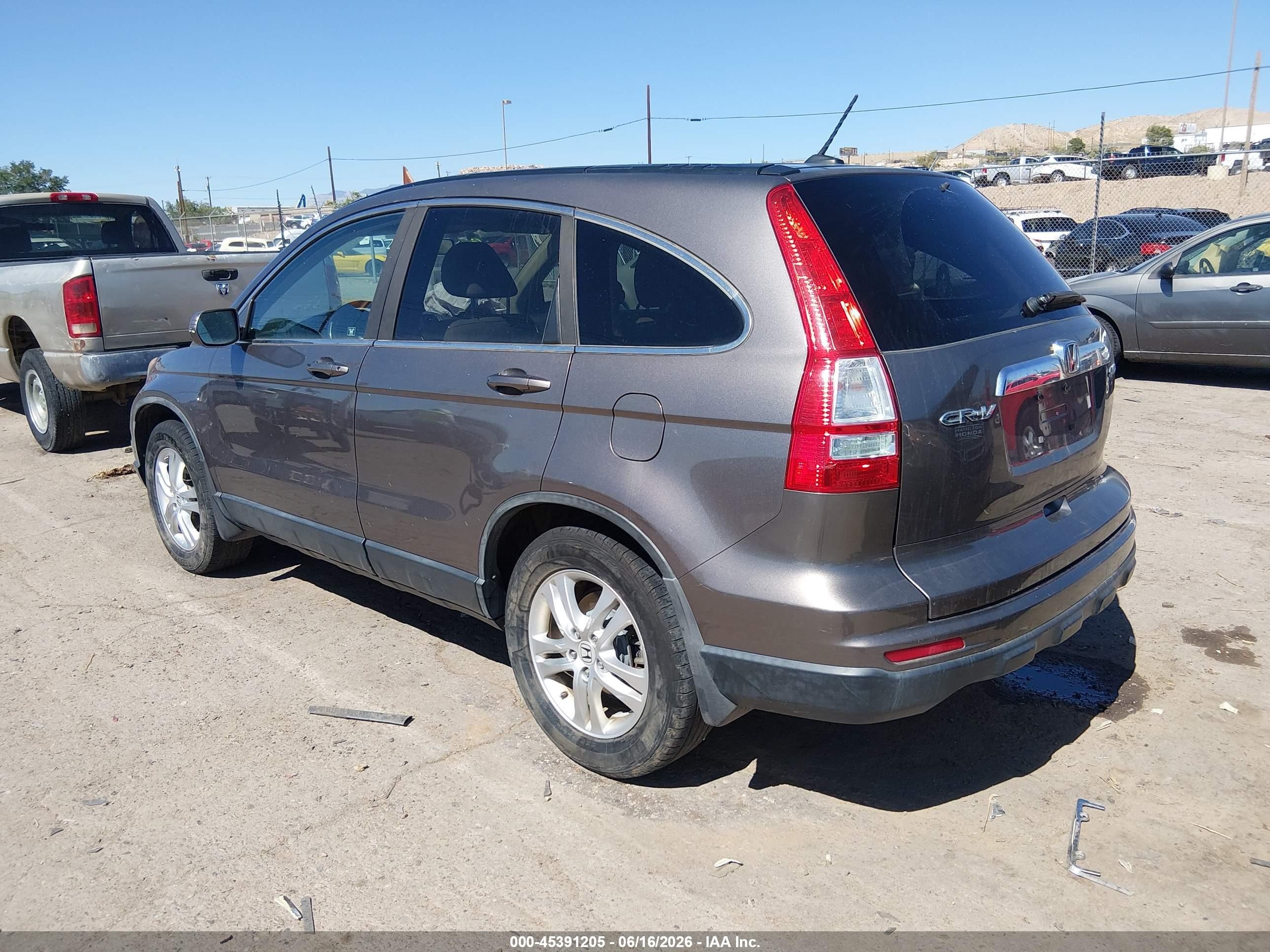 2010 Honda Cr-v Ex-l Gray vin: 5J6RE4H74AL082391