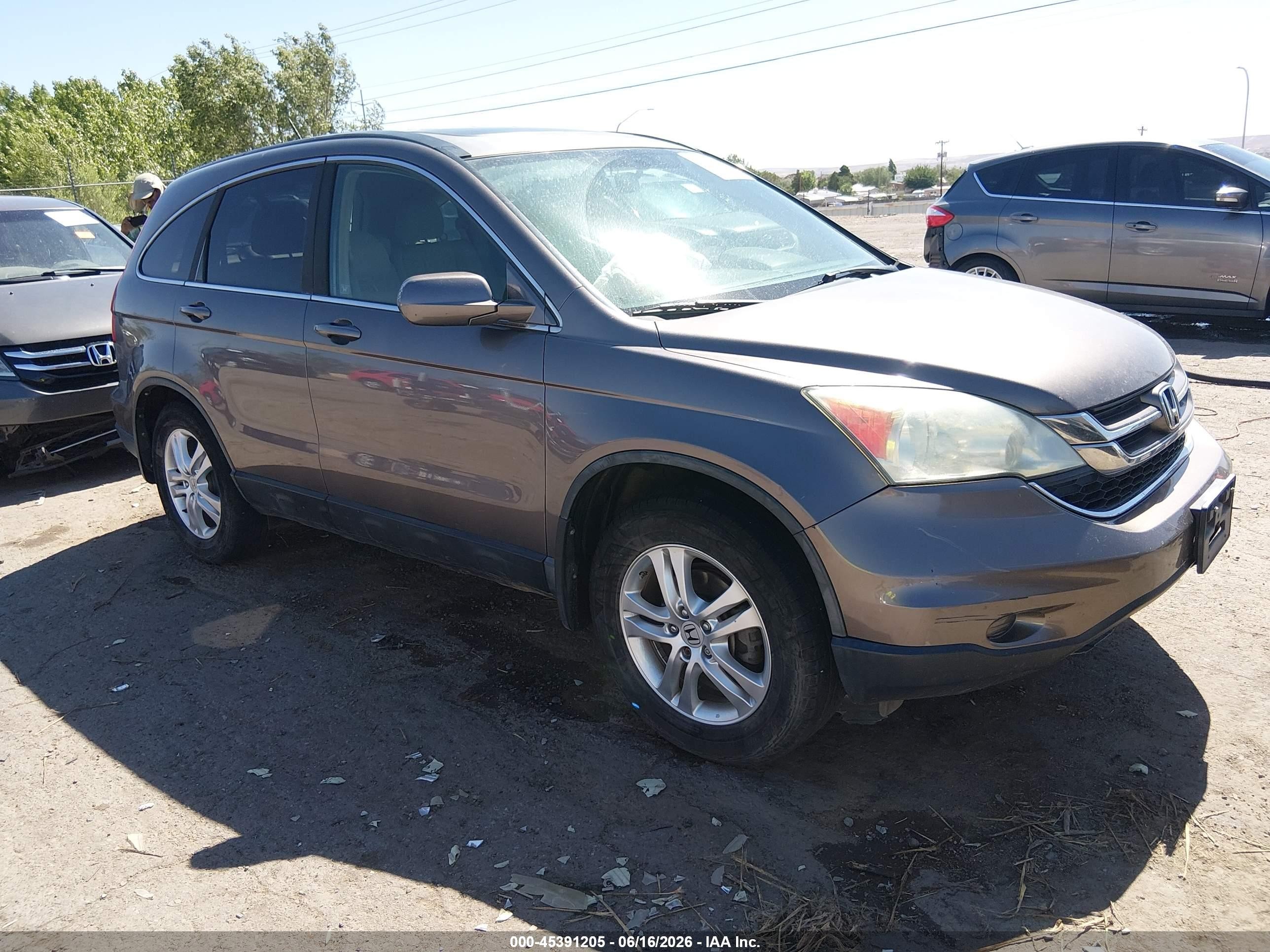 2010 Honda Cr-v Ex-l Gray vin: 5J6RE4H74AL082391