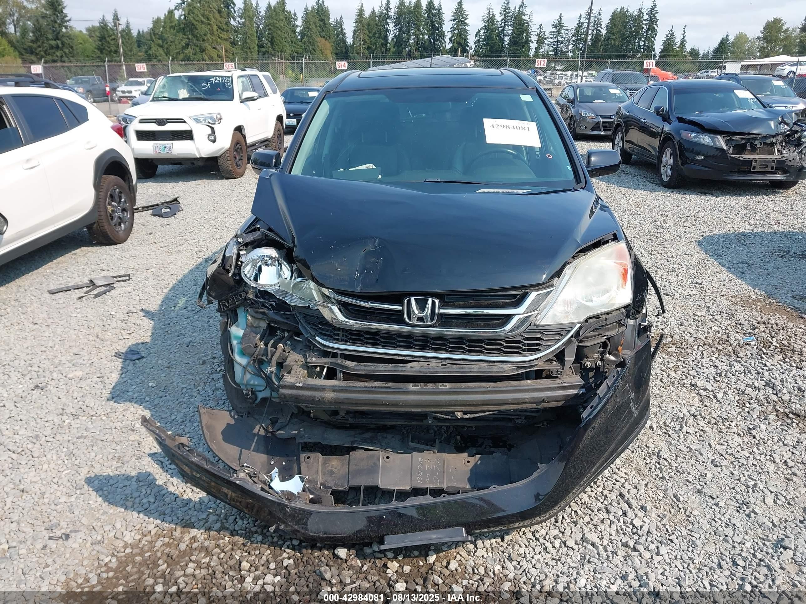 2010 Honda Cr-v Ex-l Black vin: 5J6RE4H75AL050338