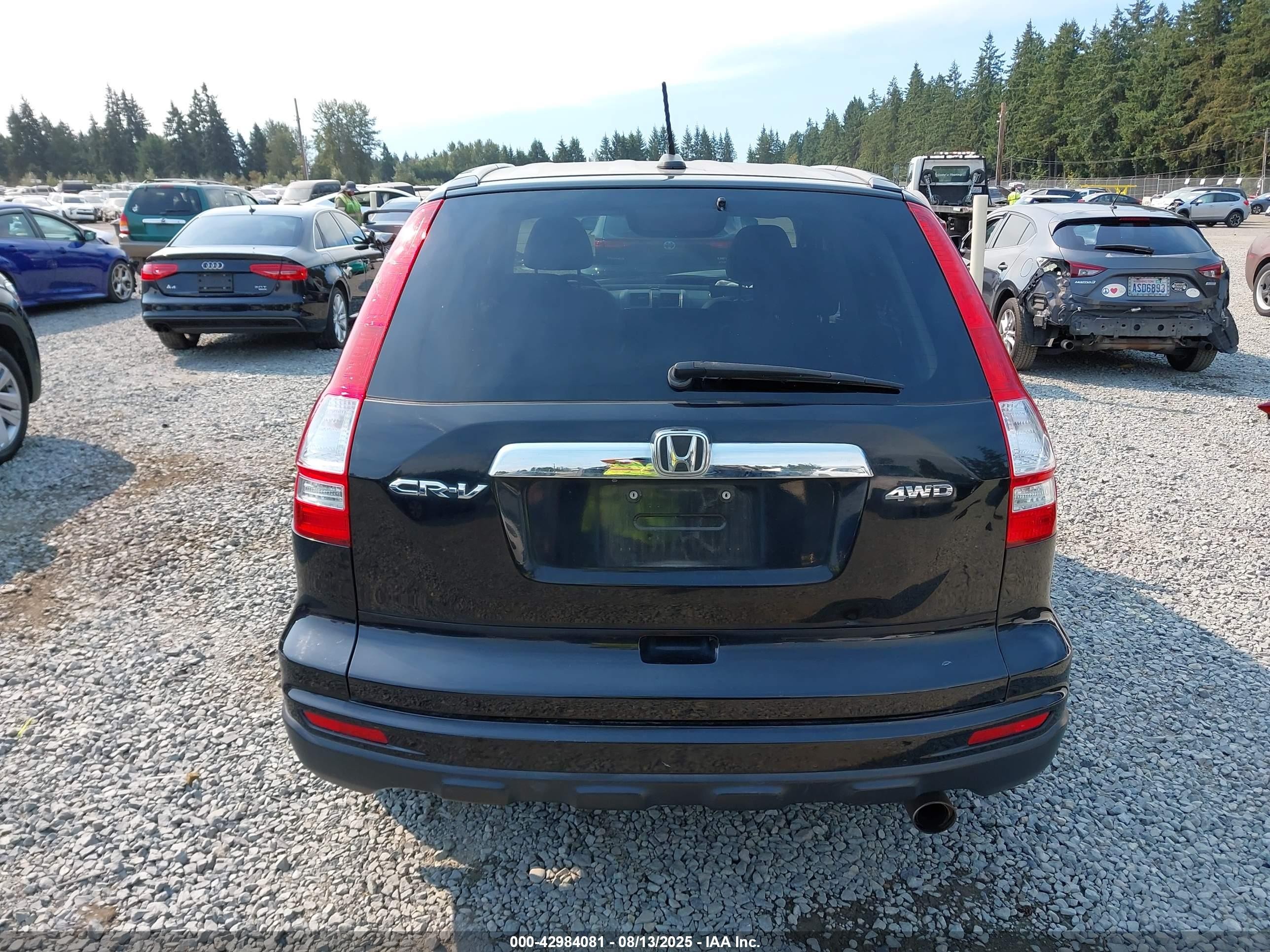 2010 Honda Cr-v Ex-l Black vin: 5J6RE4H75AL050338