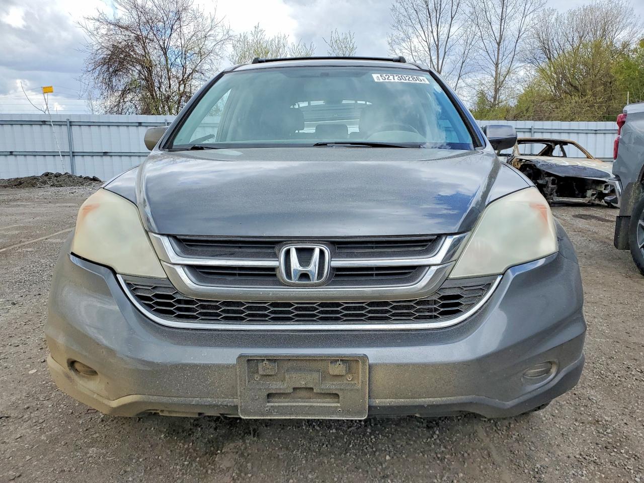 2010 Honda Cr-v Exl Gray vin: 5J6RE4H75AL819890