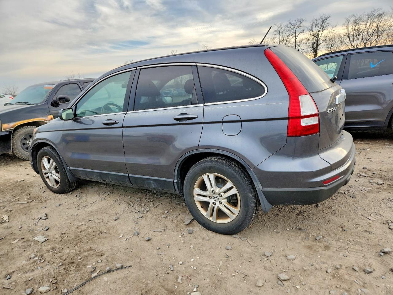 2011 Honda Cr-v Exl Gray vin: 5J6RE4H75BL066928