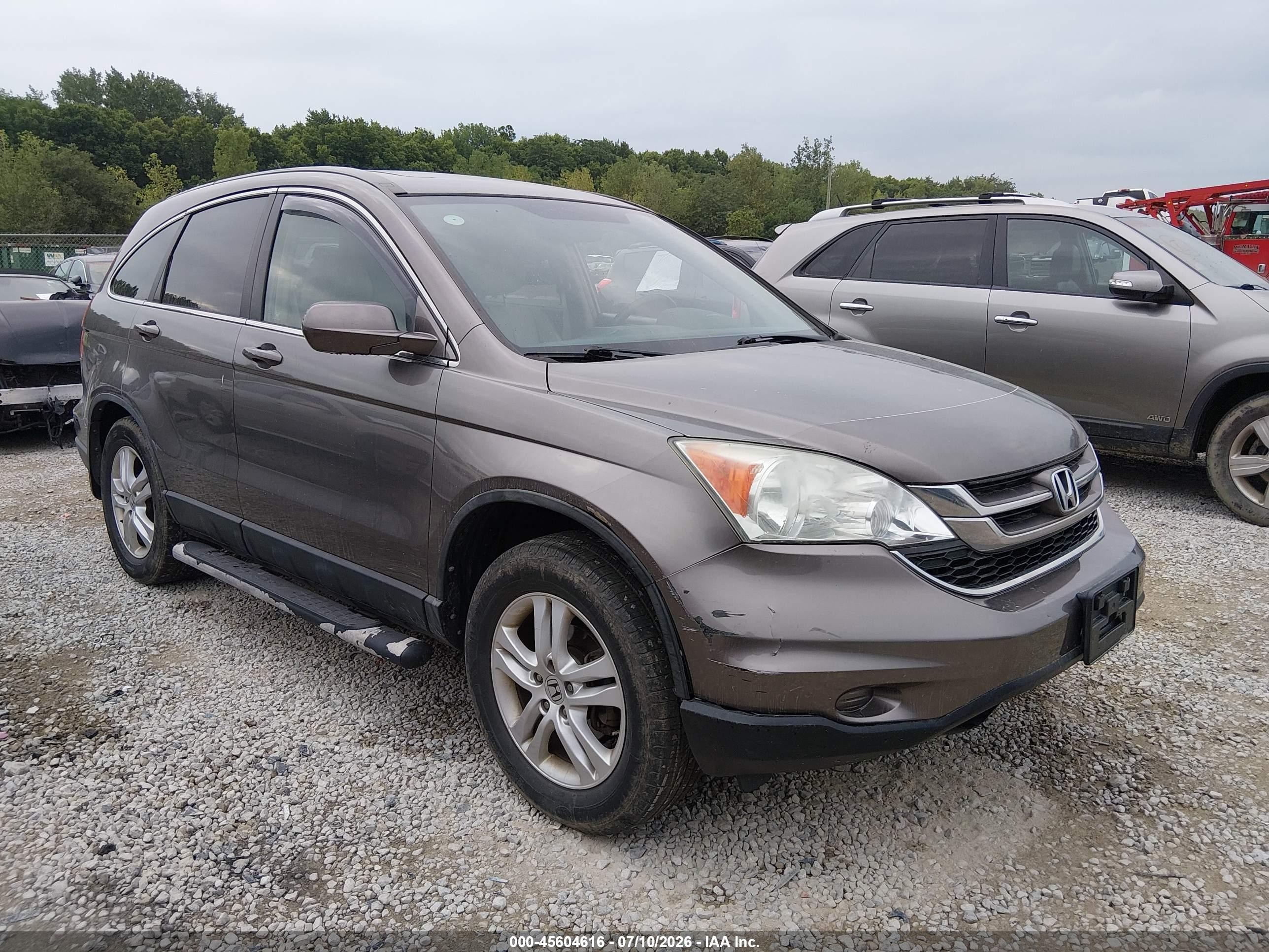 2011 Honda Cr-v Ex-l Brown vin: 5J6RE4H75BL093322