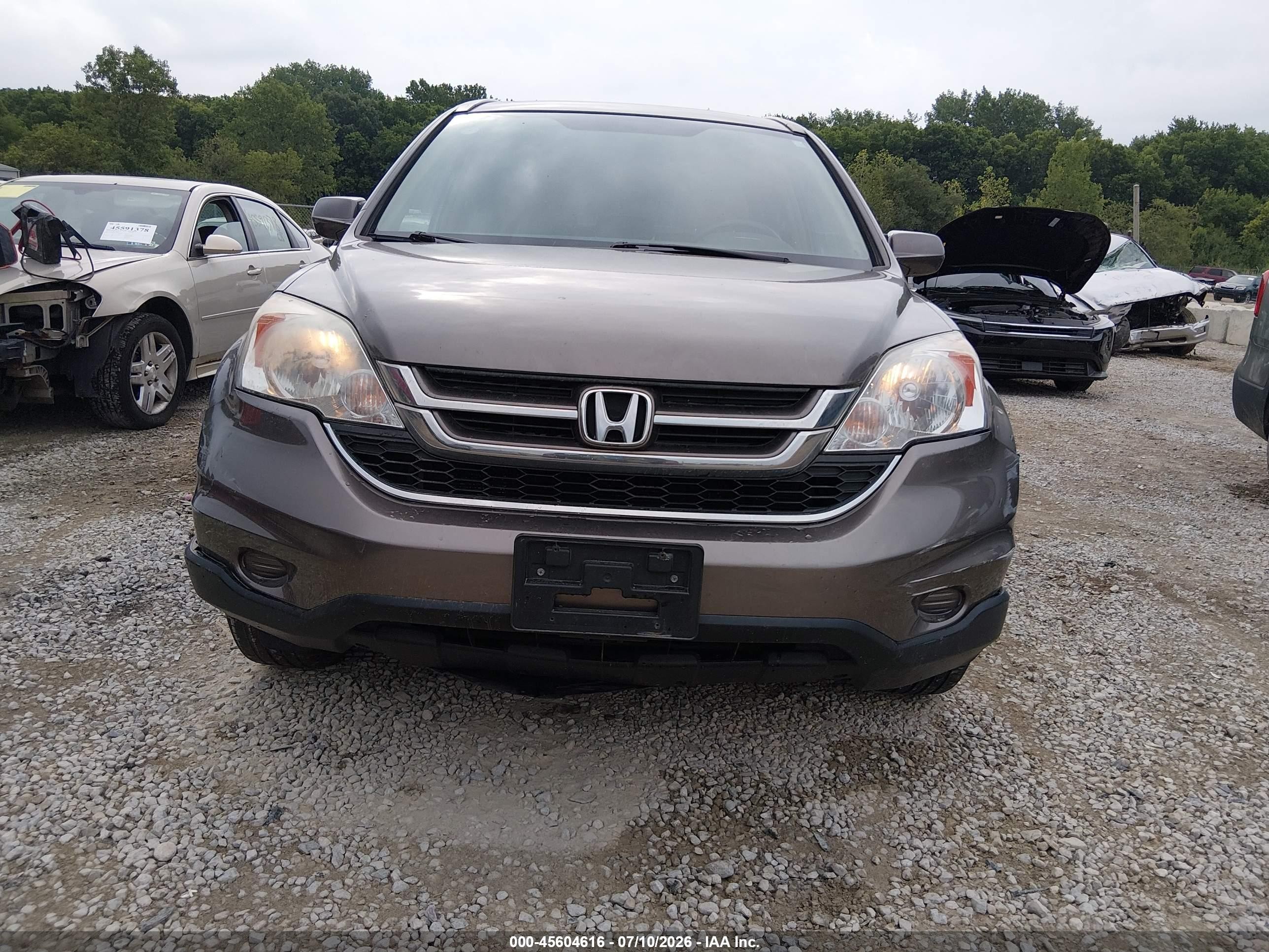 2011 Honda Cr-v Ex-l Brown vin: 5J6RE4H75BL093322