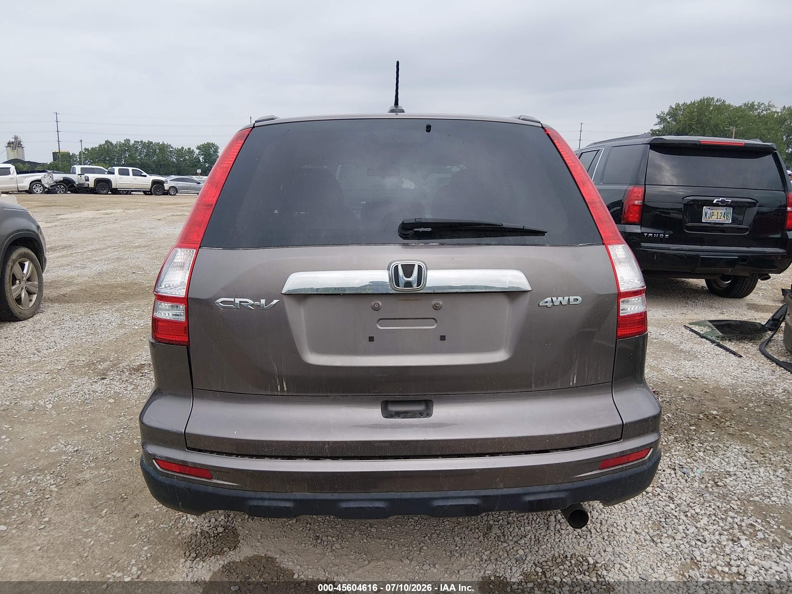 2011 Honda Cr-v Ex-l Brown vin: 5J6RE4H75BL093322